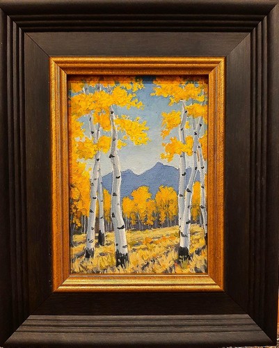 Click to view detail for Colorado's Best Season 7x5 $230